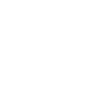 insecte