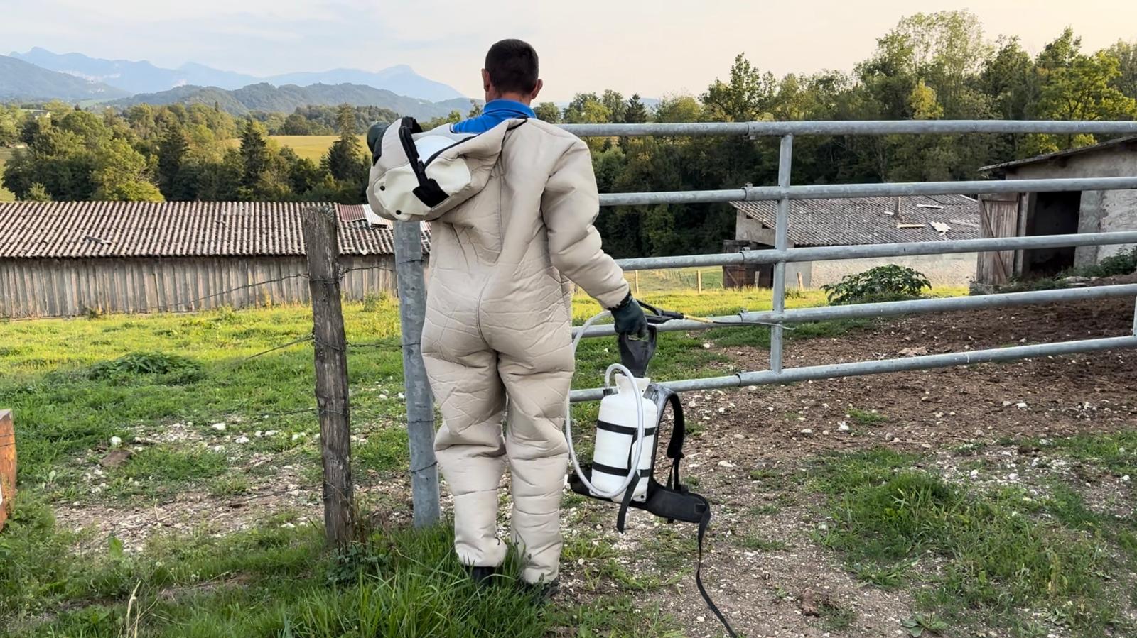 Comment protéger sa maison et son entreprise des nuisibles en Savoie et Isère